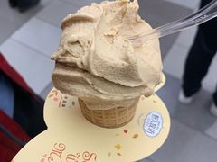 焦糖海盐-野人先生现做冰淇淋(西安赛格店)