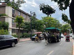 -天津五大道文化旅游区