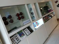 -车艺佳龙膜隐形车衣汽车贴膜(宝山丰宝店)