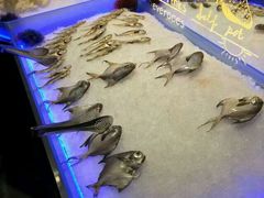 -欢乐牧场(T12店)