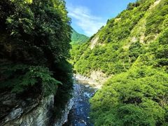 -黑河国家森林公园