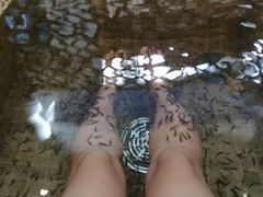 -中家鑫园温泉酒店鑫悦汤泉