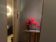 -耳域躺式采耳SPA馆(新街口店)