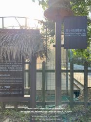 -前小桔亲子创意农场·草莓采摘·露营烧烤