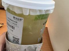 -雾与山茶(大禹城店)