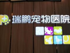 -瑞鹏宠物医院