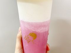 多肉粉荔-喜茶(深圳东门1234店)
