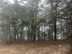 -梧桐山风景名胜区