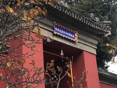 -妙应寺白塔