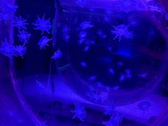-常州海昌海洋探索馆