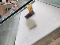 -爱新觉罗皇家博物院