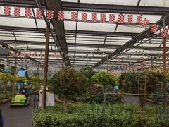 -南宫五洲植物乐园