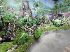 -观澜湖生态运动公社