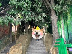 -吉林省自然博物馆