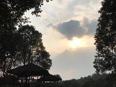 -保利石象湖景区