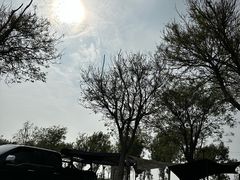 -东堤公园