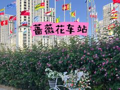 -南京国际青年文化中心