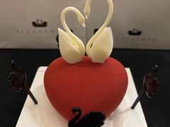 -BLACKSWAN黑天鹅(新希望店)