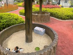 -造物庄园 萌宠纪(苏州湾歌林公园店)