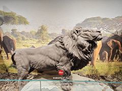 -长沙简牍博物馆