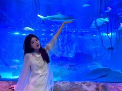 -沈阳海洋探索中心