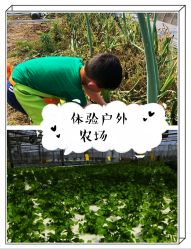 -麦粒鸟亲子游