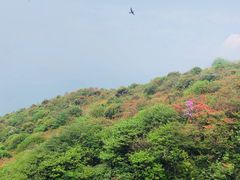 -大围山国家森林公园
