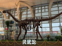 -银川河东国际机场