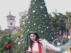 -中旅阿那亚九龙湖·公主酒店