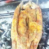 撸串吃饭好地方
