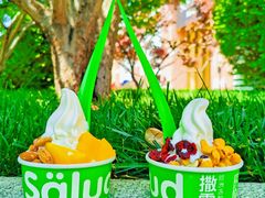 -Salud撒露欧洲冻酸奶(蓝色港湾店)