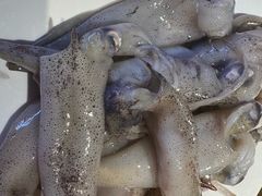 -聚盛源蒸汽海鲜火锅烤肉自助(巨川金海岸购物广场店)