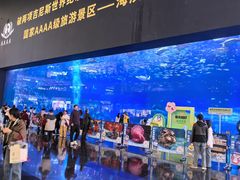 -成都浩海立方海洋公园