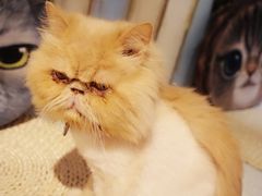 -小时光咖啡馆(开森度假森林店)