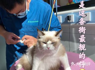“家”和“爱”是这世上最温暖的字眼