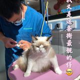 “家”和“爱”是这世上最温暖的字眼
