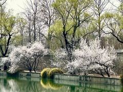 -颐和园