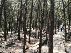 -云龙山