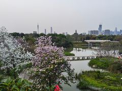 -海珠湖公园