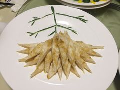 -丁老爷子苏香圆