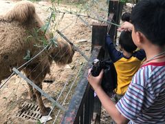 -南昌动物园