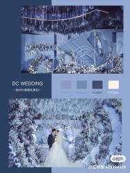 -DC大蔡婚礼策划(李公堤店)