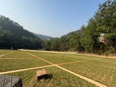 -孔雀湖生态旅游区