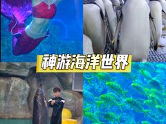 -威海华夏城景区