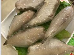 -朱氏胖子烂火锅(洪崖洞店)
