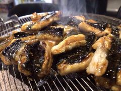 -本炙炭烤·蒲烧活鳗料理店(金沙洲店)