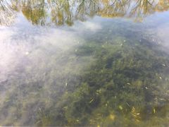 景点-什刹海-后海