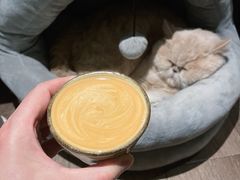 -Double cafe