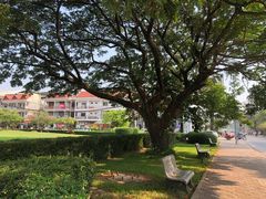 -吴哥国家博物馆