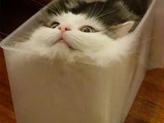 -美联英语(中关村中心)